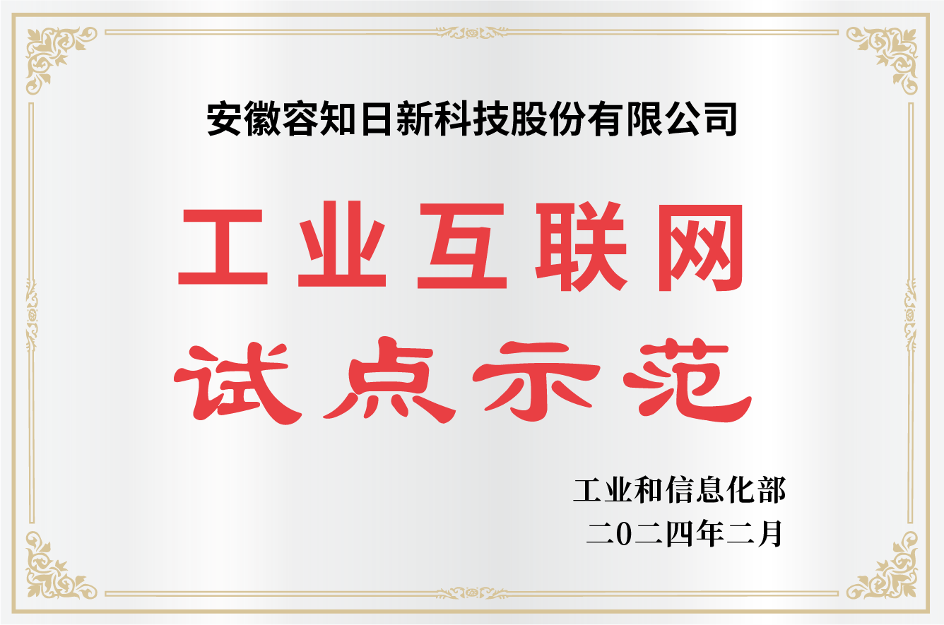 2024国家级工业互联网试点示范.png